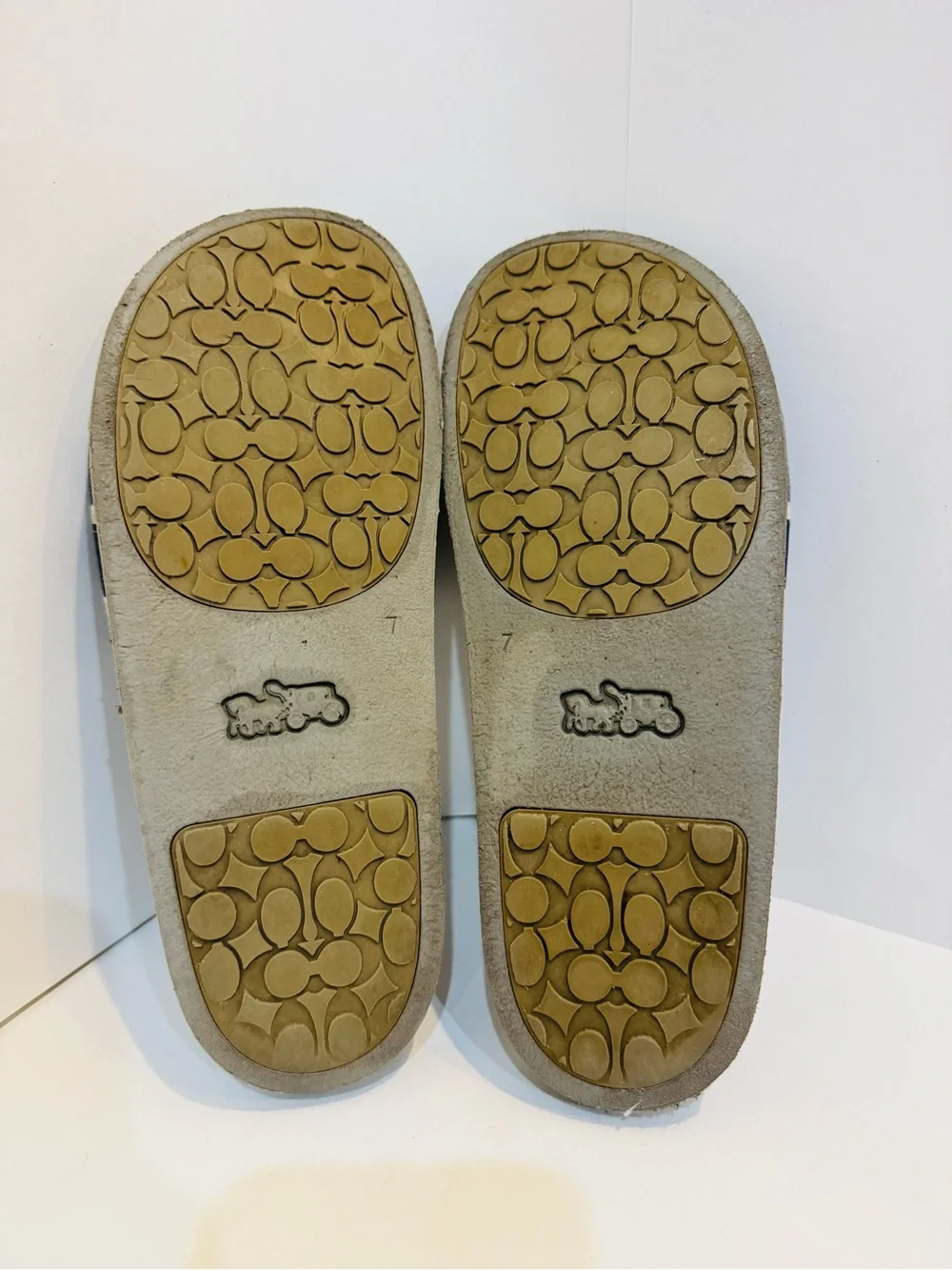 Coach men’s slide